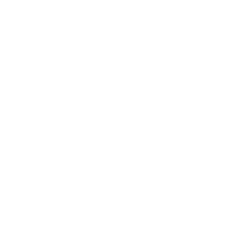 Disco (Surf Curse)