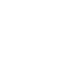 Disco (Surf Curse)