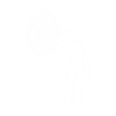 Targeted Focus