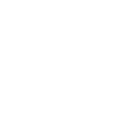 Rising Phoenix
