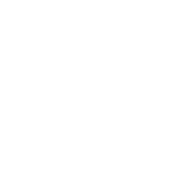 Revolver