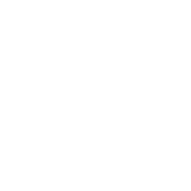 Martial Arts Master