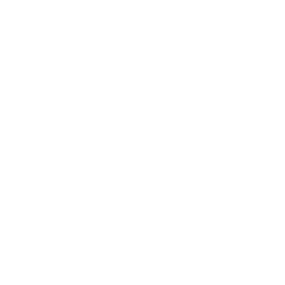 Opus No. 1