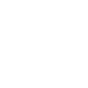 Dancin' Domino