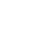 Shimmy Wiggle
