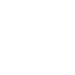 Jake Car