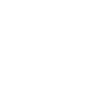 Jellyfish Jam