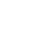 Engine Adjuster