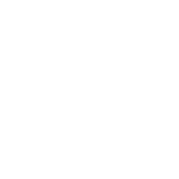 Fast Slow Disco
