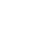 Bodies