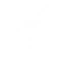 Training Droid Practice