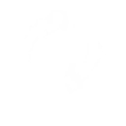 Tagger's Groove