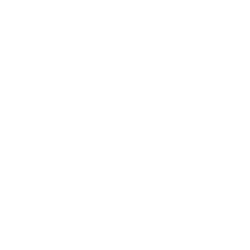 Segway Tour