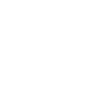 Segway Tour
