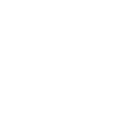Dunk on 'Em