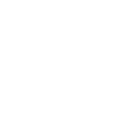 Battle Brother