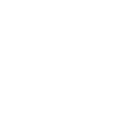 The Renegade
