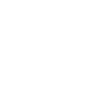 Dynamic Shuffle