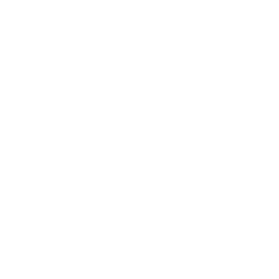 Metamorphosis