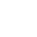 The Macarena