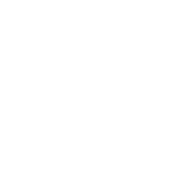 Moongazer