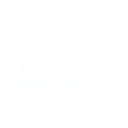 Spirit Strider