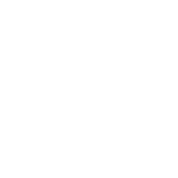 Brick Chop