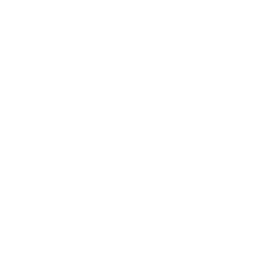 Lil' Kitty Cart
