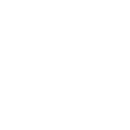 Skill Scanner
