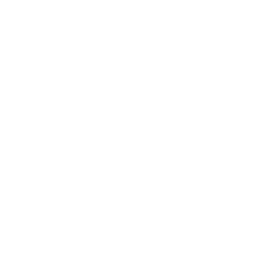 Concerto of Woe