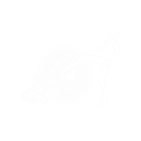 Car Smash