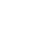 Sentinel Squats
