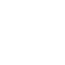 Puddle Hopper