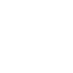 Ninja Stance: Leo