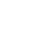 Lil' Rover