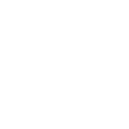Lil' Tank