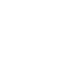 Nanite Flex