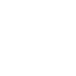 Ice Sculptor