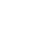 Ice Sculptor