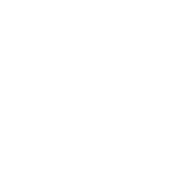 Lil' Tokki
