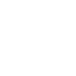 The Snowblower