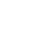 The Spark