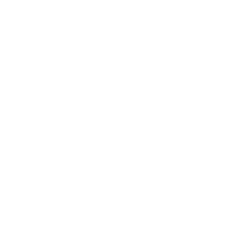 Keyblade Flourish