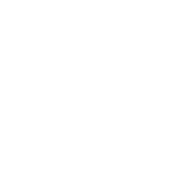 Bizcochito