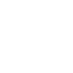 Music Box Mannequin