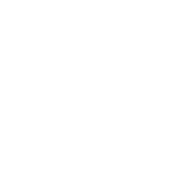 Shadow Play: Toad