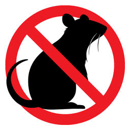 No Rats