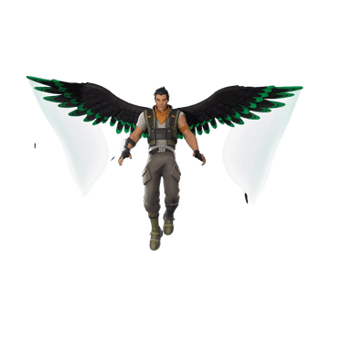 Victory in Flight