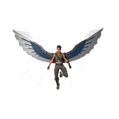 EXO-7 Falcon Wings