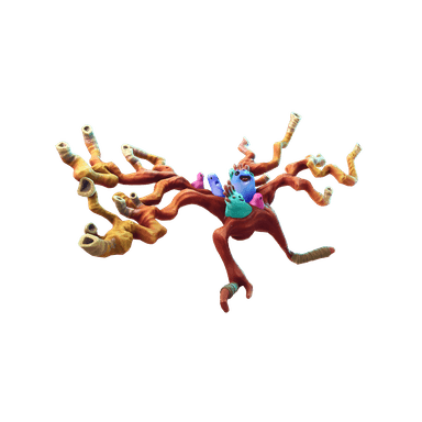 Coral Cruiser